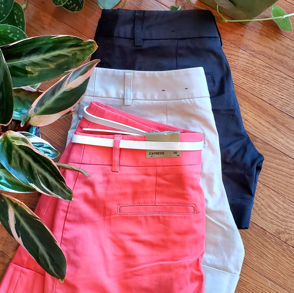 Express Shorts Bundle